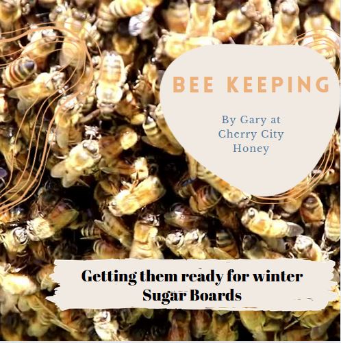 Getting Bees Ready for Winter Part 2 – Sugar Boards