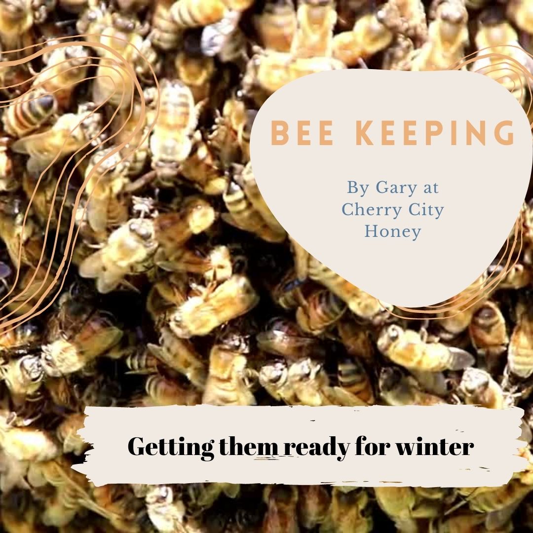 Getting Bees Ready for Winter Part 1
