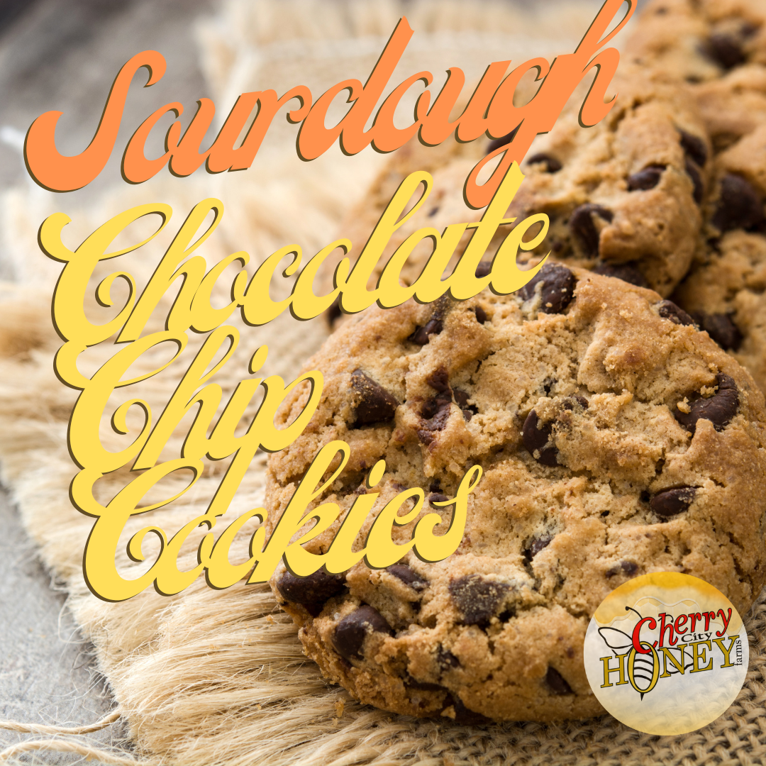 🍯🐝 Honey Sourdough Discard Chocolate Chip Cookies