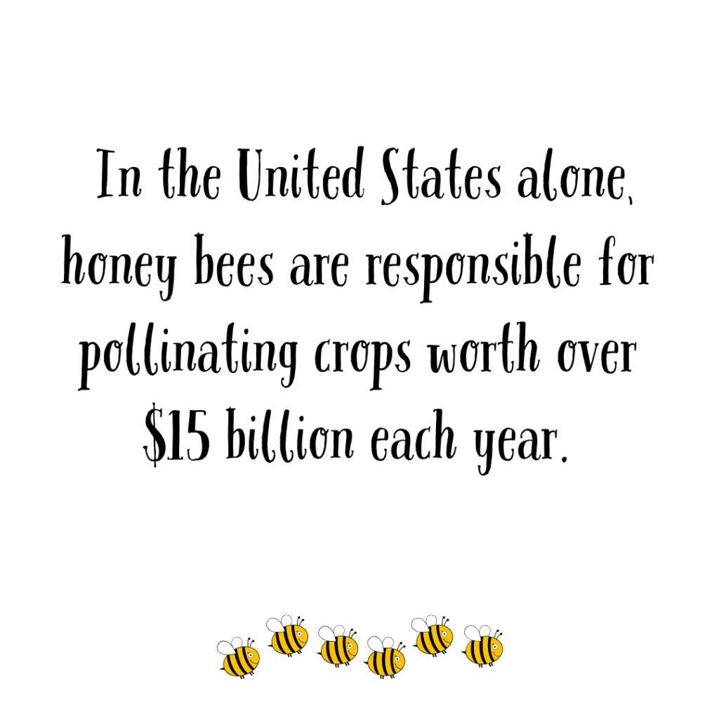 Happy World Bee Day!!